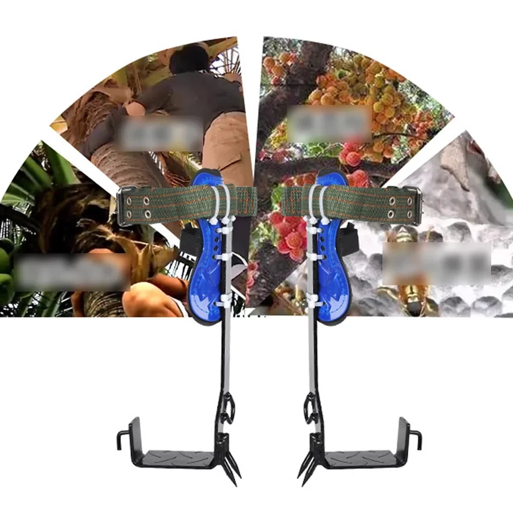 Tree Climbing Spikes Set 2 Gears with Adjustable Safety Harness Belt Straps, Tree Pole Climbing Shoes Tool for Picking Fruit, Hunting Observation, Indoor Climbing and Sports