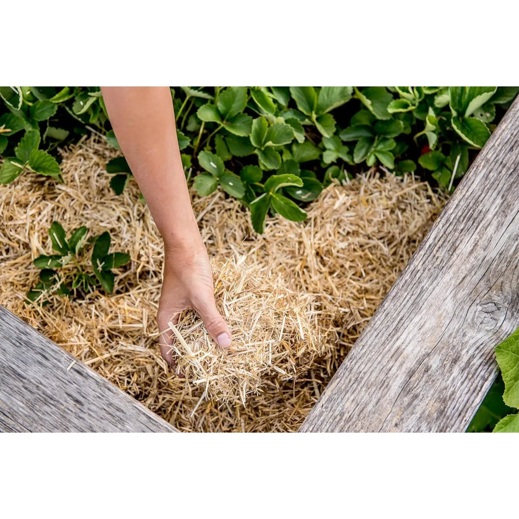 HealthiStraw GardenStraw Clean Premium Straw Mulch for Gardening, Lawn Seeding and Composting, 3 Cu Ft (Garden Coverage 100 sq ft)