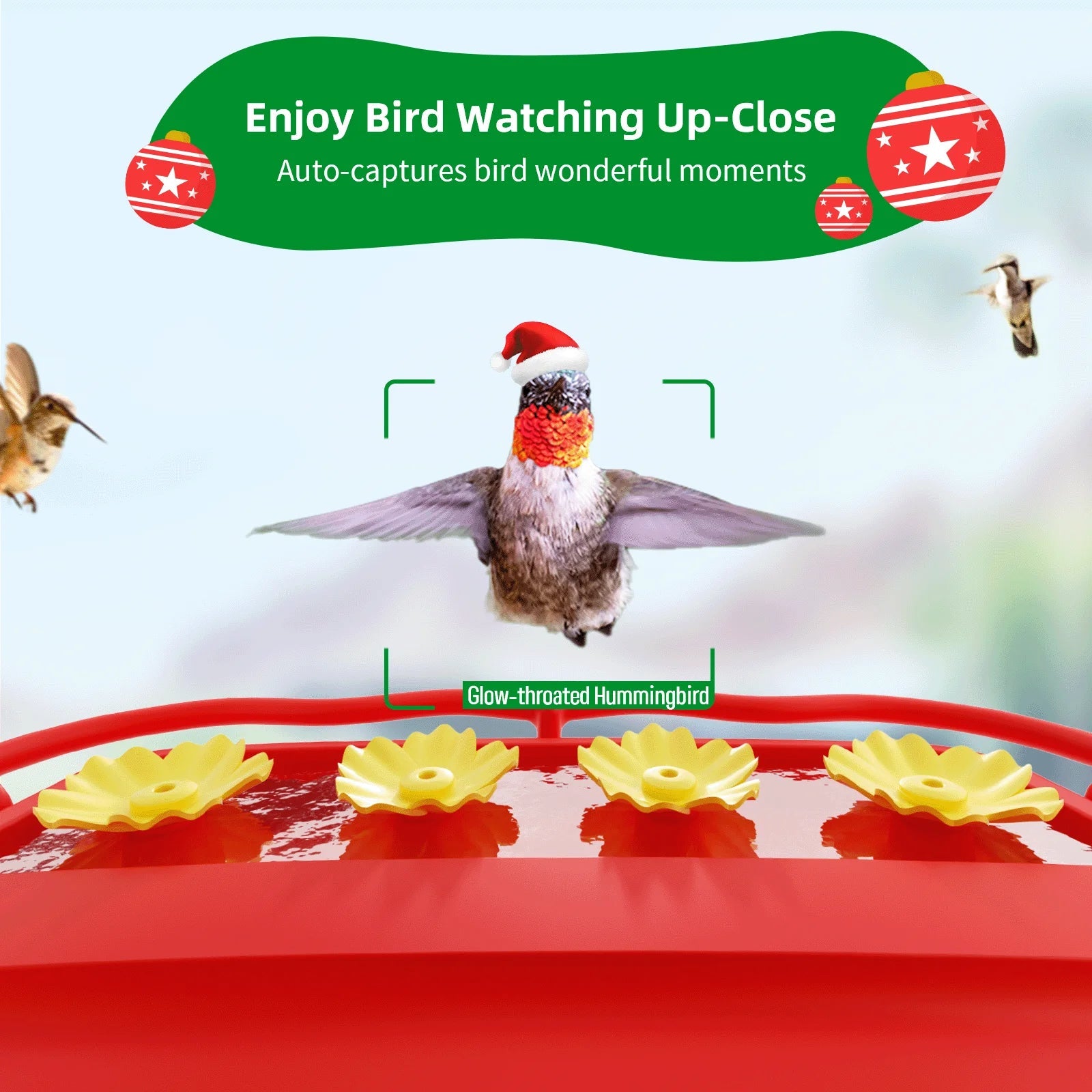 Hummingbird Feeder with Camera for Outdoor Hummingbird Smart Bird Feeder Camera Auto-Video Capture,Birdwatching Up-Close,AI Identify 350+ Species, 2 Wooden House, Attract More Hummingbird Unique Gift
