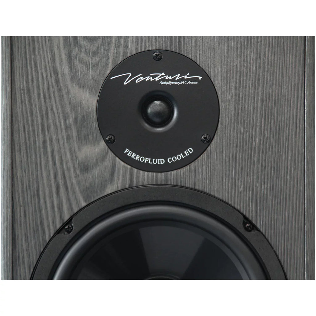 BIC America 2-Way 200-Watt Tower Speaker