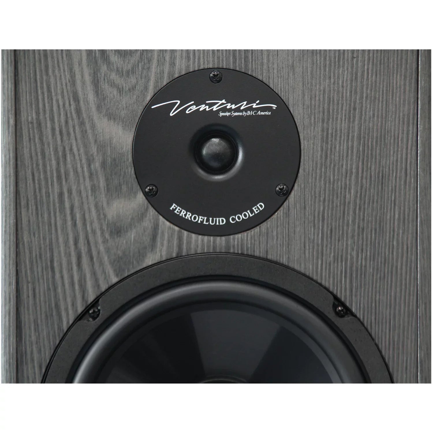 BIC America 2-Way 200-Watt Tower Speaker