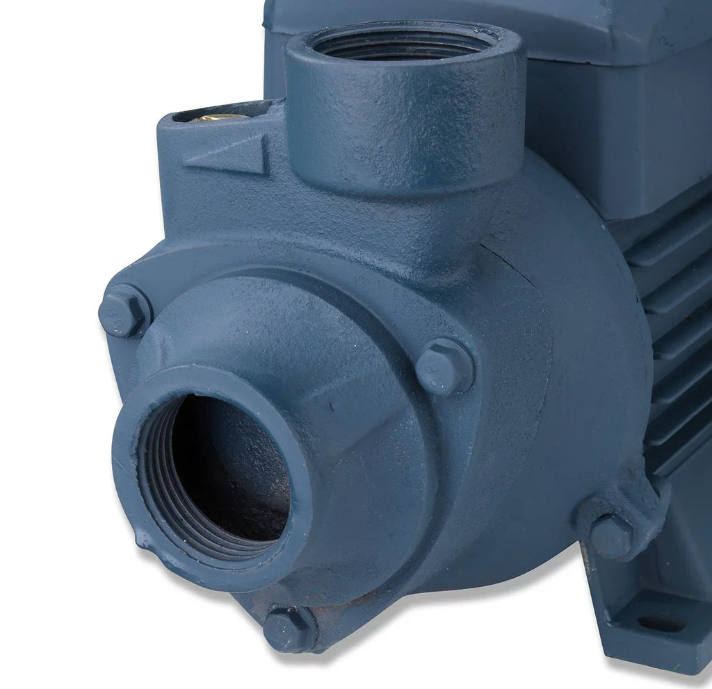 Neiko 50639 Electric Centrifugal Clear Liquid Pump, 1