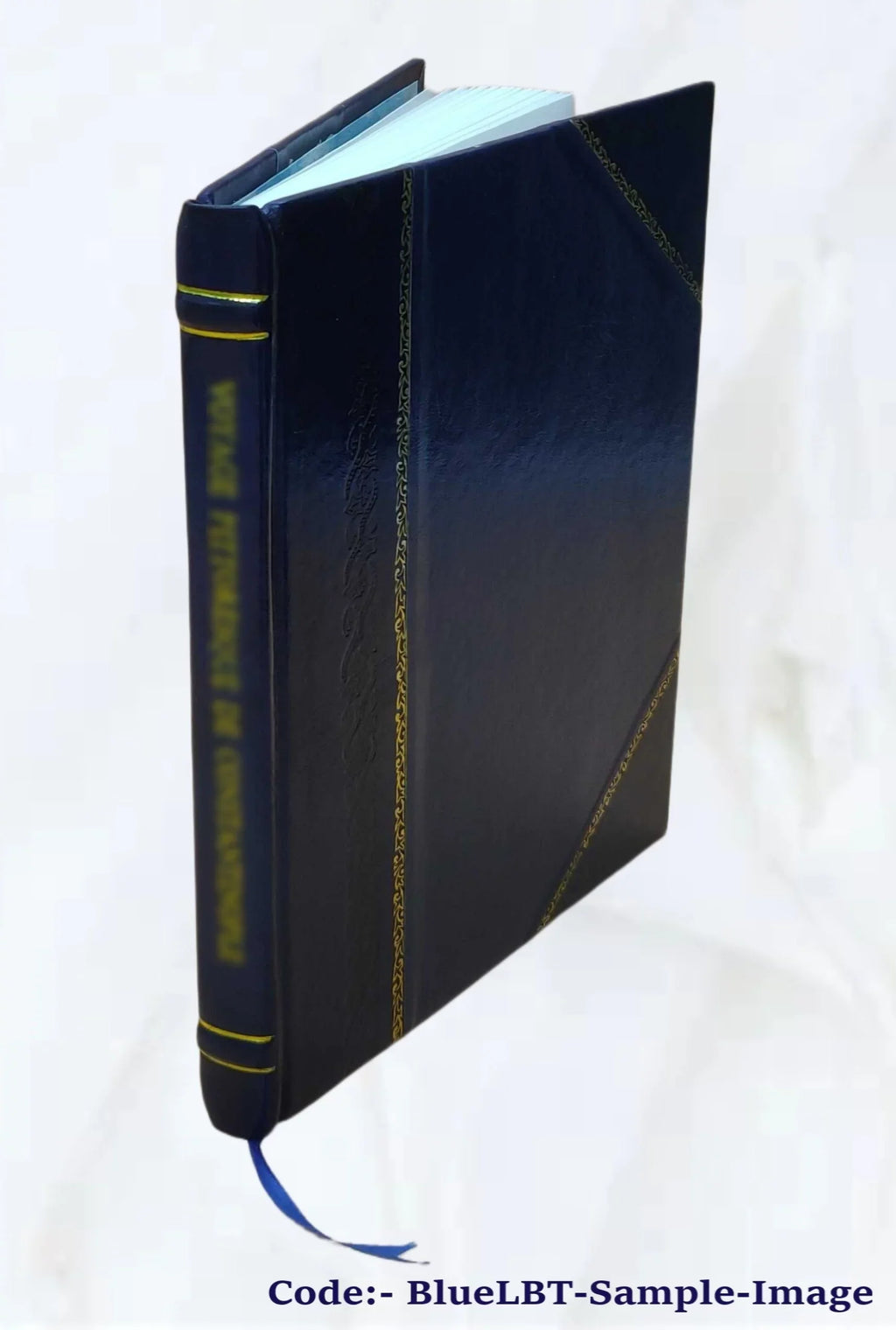 The geology of the country around Carlisle. (Explanation of sheet 107, with parts of 101 & 106 old series; sheets 16 & 17, with parts of 12, 18, 22 & 23 new series) By T. V. Holmes ... Pub. by order o