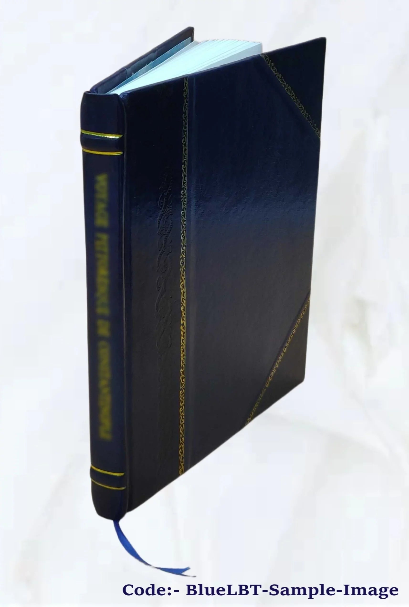 Der Hypnotismus: Seine Bedeutung und seine Handlung: in kurzgefasster ... 1889 [Leather Bound]