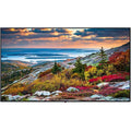 TH-55CQE1W Digital Signage Display