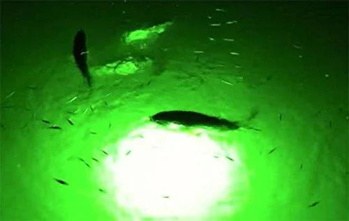 Multi-Color Color Changing LED Dock-7500 Fluid Fishing Light with Remote Control