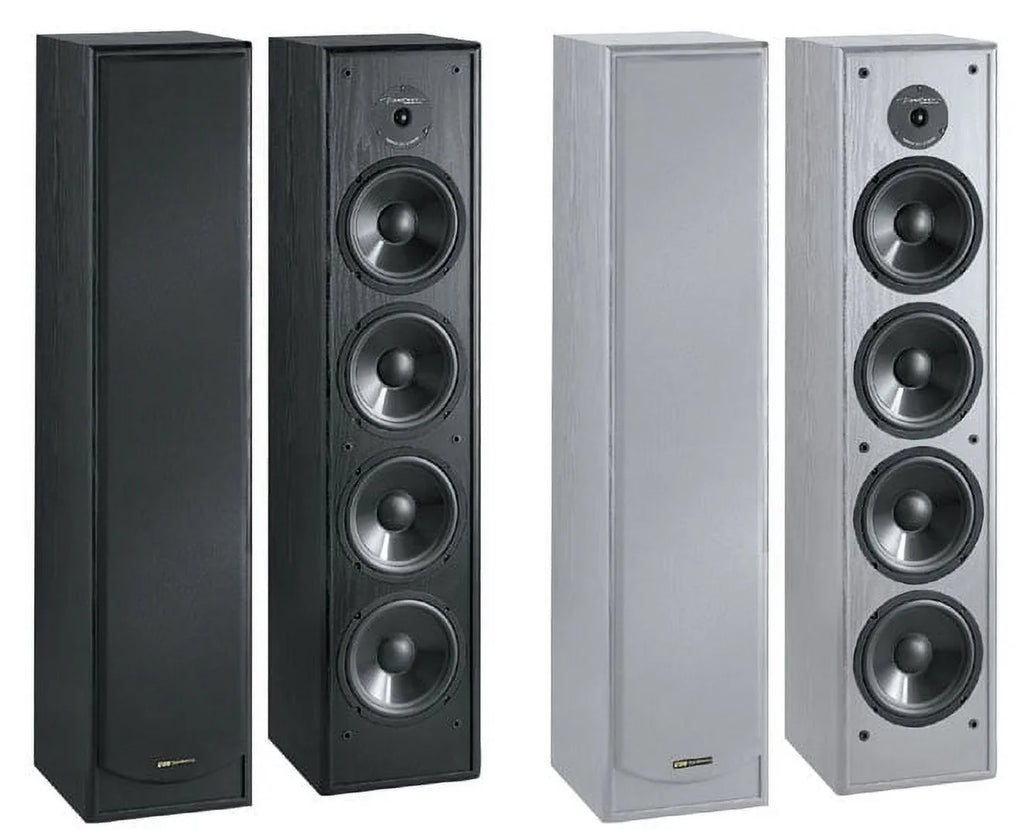 BIC America 2-Way 200-Watt Tower Speaker