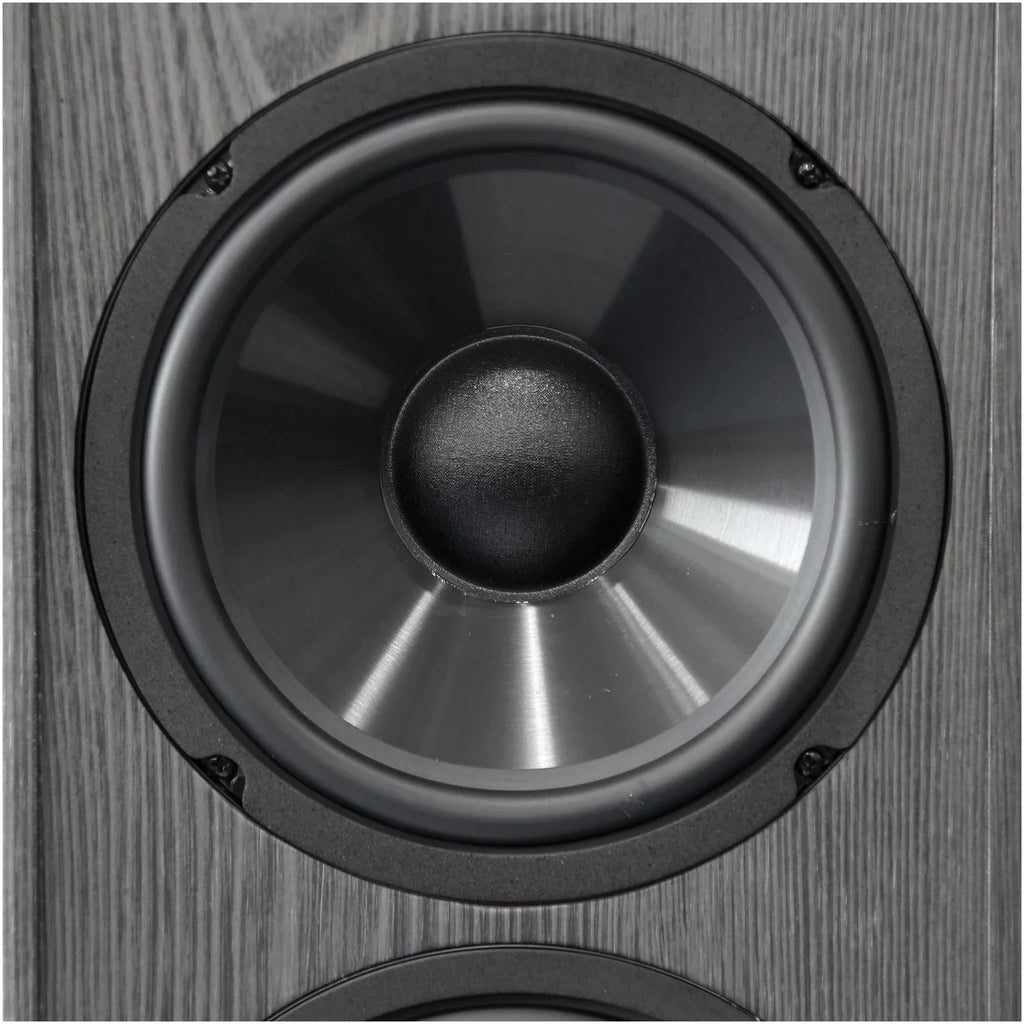 BIC America 2-Way 200-Watt Tower Speaker