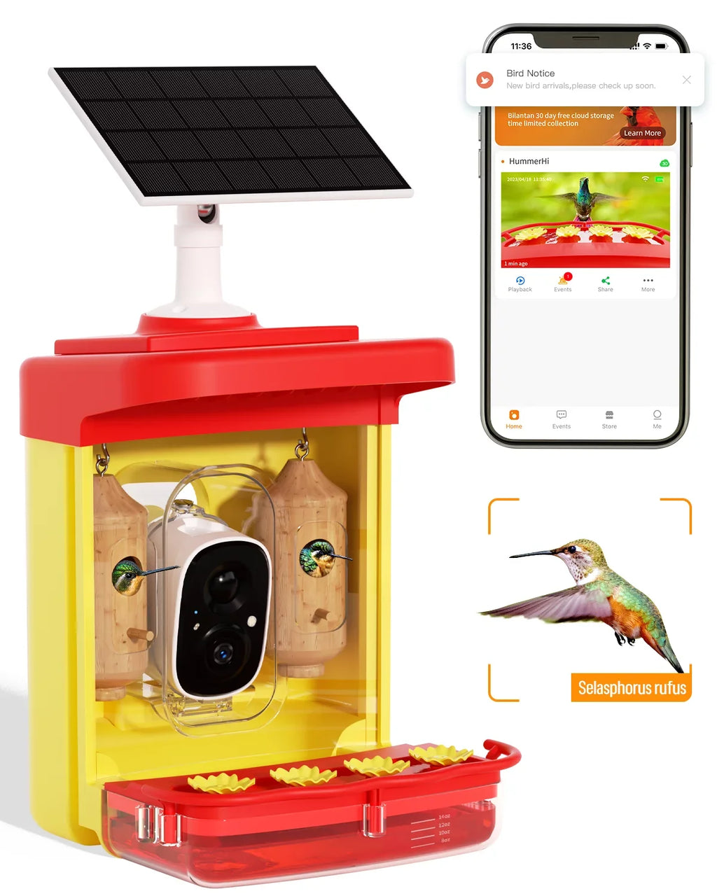 Hummingbird Feeder with Camera for Outdoor Hummingbird Smart Bird Feeder Camera Auto-Video Capture,Birdwatching Up-Close,AI Identify 350+ Species, 2 Wooden House, Attract More Hummingbird Unique Gift