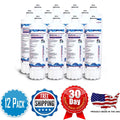 AFC Brand , Fluid Filters , Model # AFC-EPH-300-12000SK , Compatible with Pentair® I2000 - 12 Filters - Made in U.S.A.