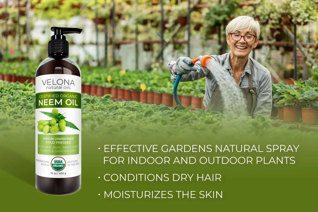 Velona Neem Oil USDA Certified Organic - 24 oz | 100% Pure and Natural Carrier Oil | Virgin, Unrefined, Cold Pressed | Hair, Body and Skin Care | Use Today - Enjoy Results