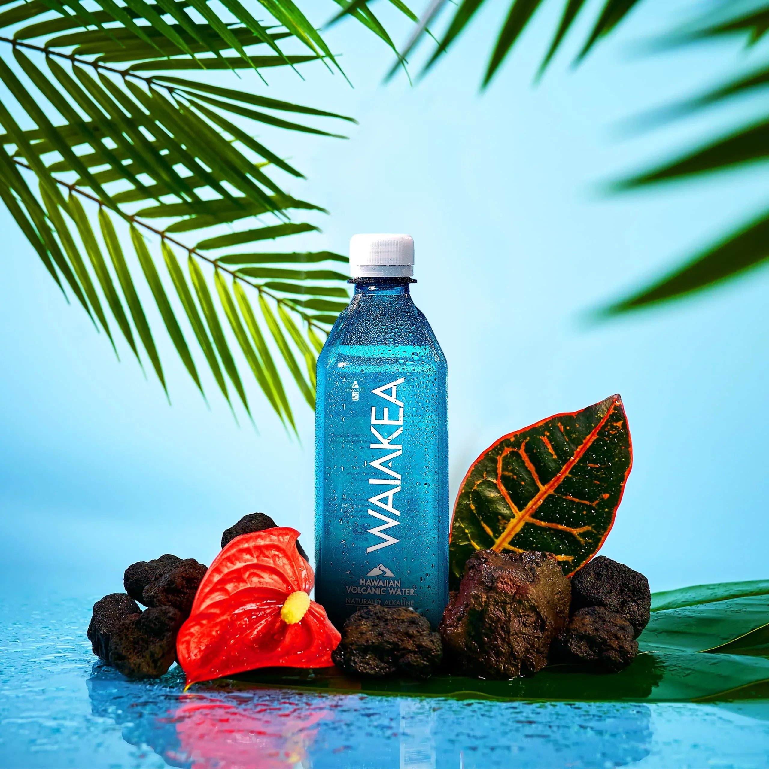 Waiakea Hawaiian Volcanic Fluid Naturally Alkaline, 100% Recycled Bottle, 16.9 Fl Oz (Pack of 24)