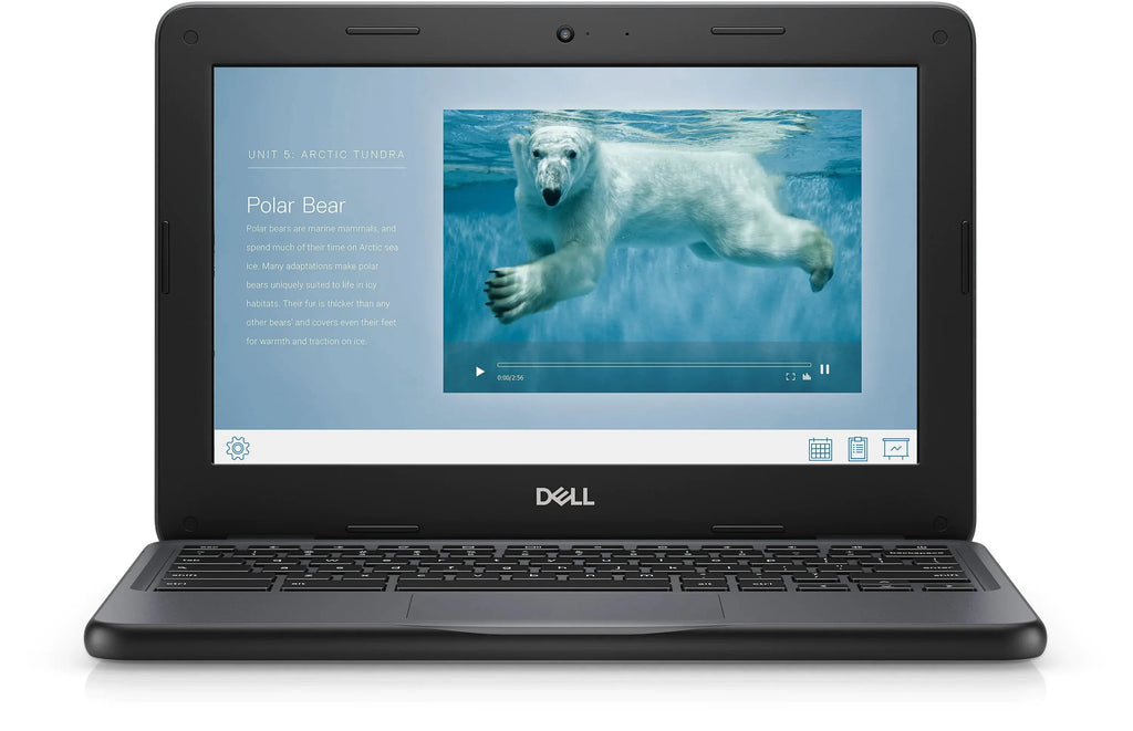 Pre-Owned Chromebook 3100 11.6" Chromebook Celeron 1.10 GHz 4GB 16 GB Chrome OS(Refurbished - Good)