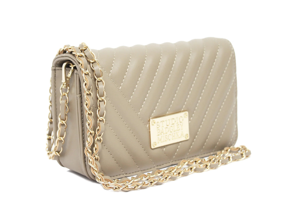 Badgley Mischka Taupe Camera Bag