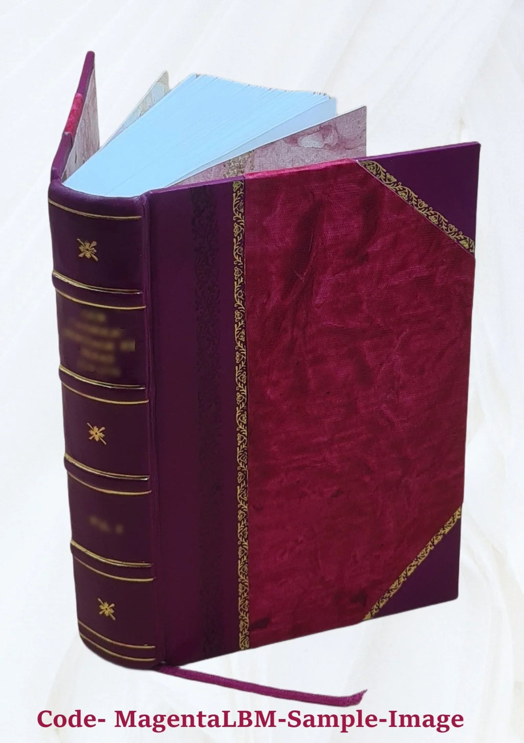 On the interpretation of statutes / by the late Sir Peter Benson Maxwell 1920 [Leather Bound]