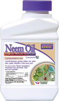 Bonide 024 Concentrate Neem Oil Insect Repellent, 16-Ounce