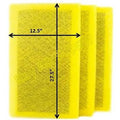 RayAir Supply 14x30 MicroPower Guard Air Cleaner Replacement Filter Pads (3 Pack)