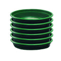 STACKABLE Classifier Display | 6 Pack | 1/4" 1/8" 1/12" 1/20" 1/50" 1/100"