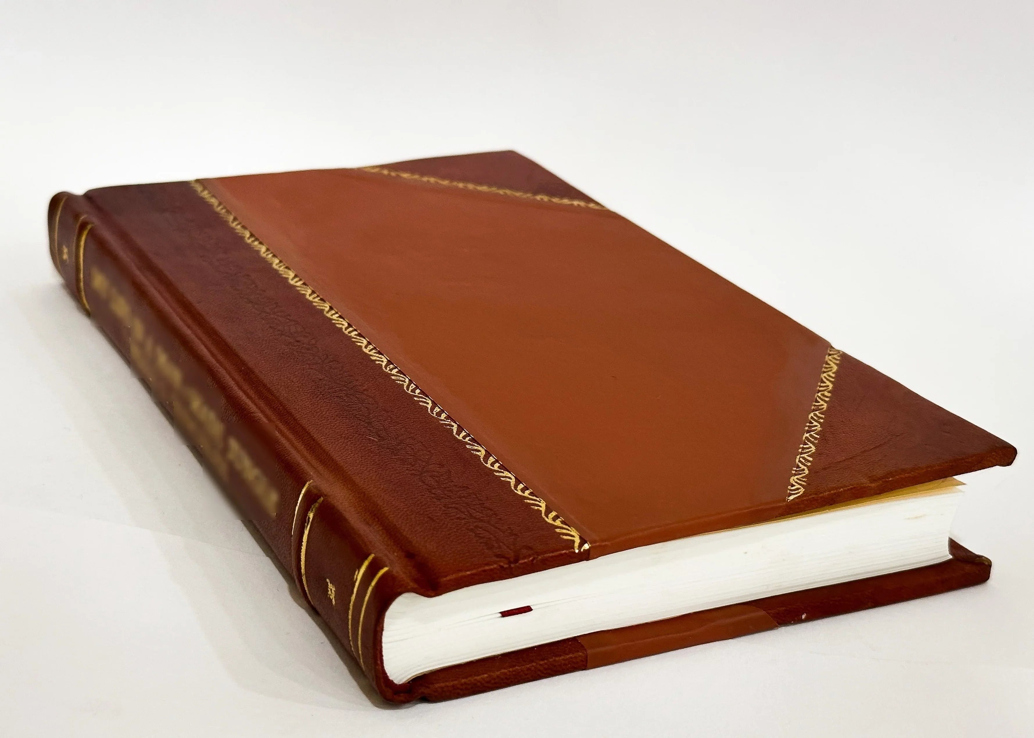Three Unlike Speeches, by William Lloyd Garrison, of Massachusetts, Garrett Davis, of Kentucky, Alexander H. Stephens, of Georgia. The Abolitionists, and Their Relations to the (1862) [Leather Bound]