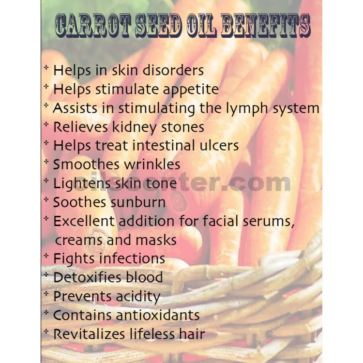 Carrot Seed Oil Organic Carrier Cold Pressed Premium Fresh 100% Pure 8 oz