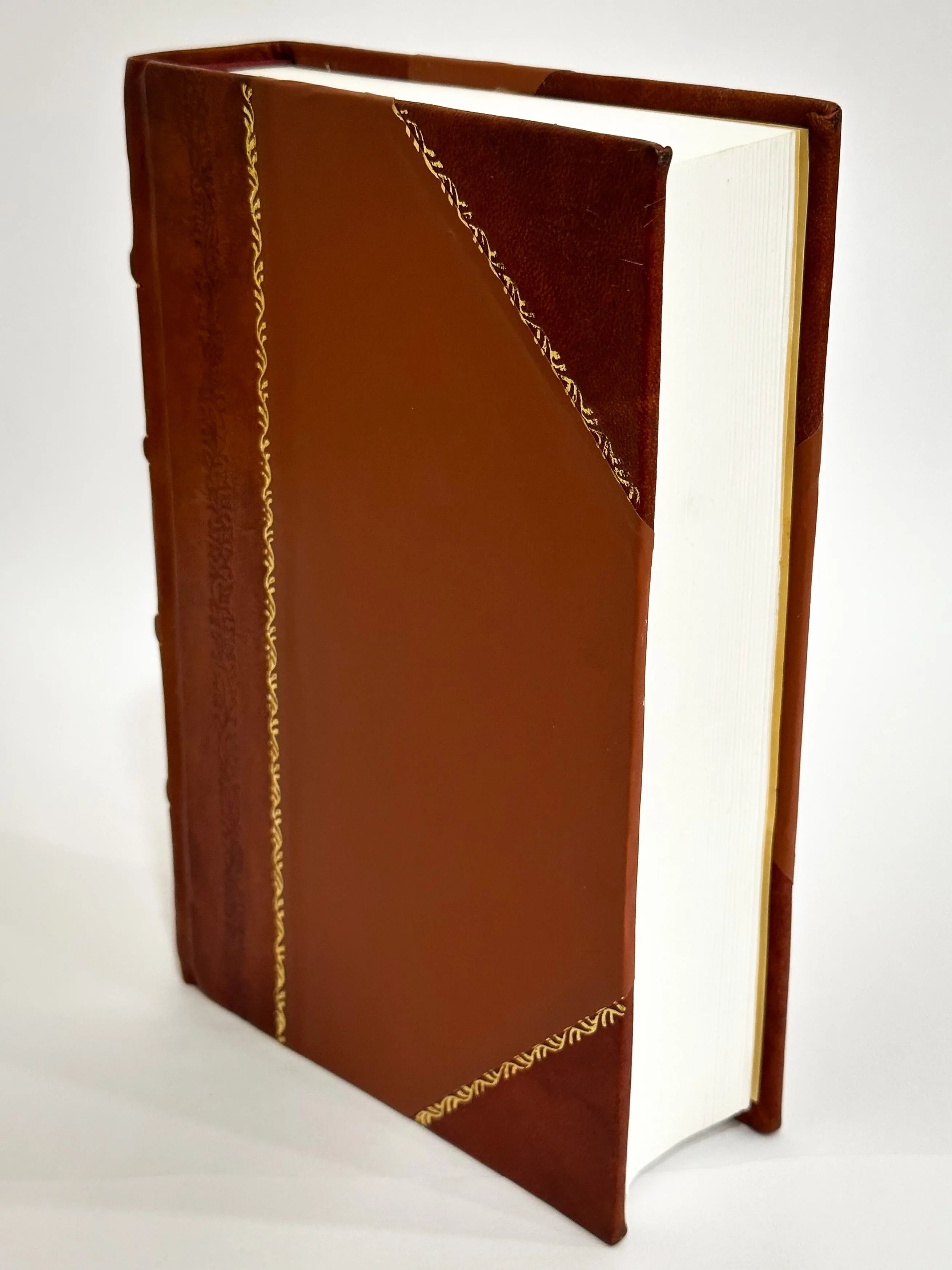 Appletons'] Annual Cyclopaedia and Register of Important Events of the Year: 1876-95. New Series / 1877 Edition (1877) Volume 11 [Leather Bound]