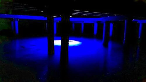 Multi-Color Color Changing LED Dock-7500 Fluid Fishing Light with Remote Control