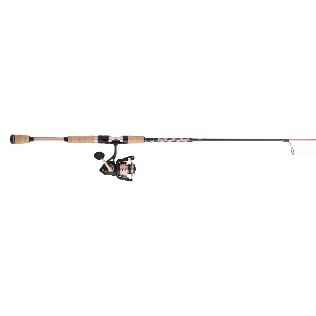 PENN 6'6" Passion II Spinning Combo, Reel Size 2000
