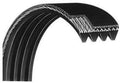 VISION FITNESS Main Drive Belt 004157-00 Works E3600HRT R2600HRT Upright Bike