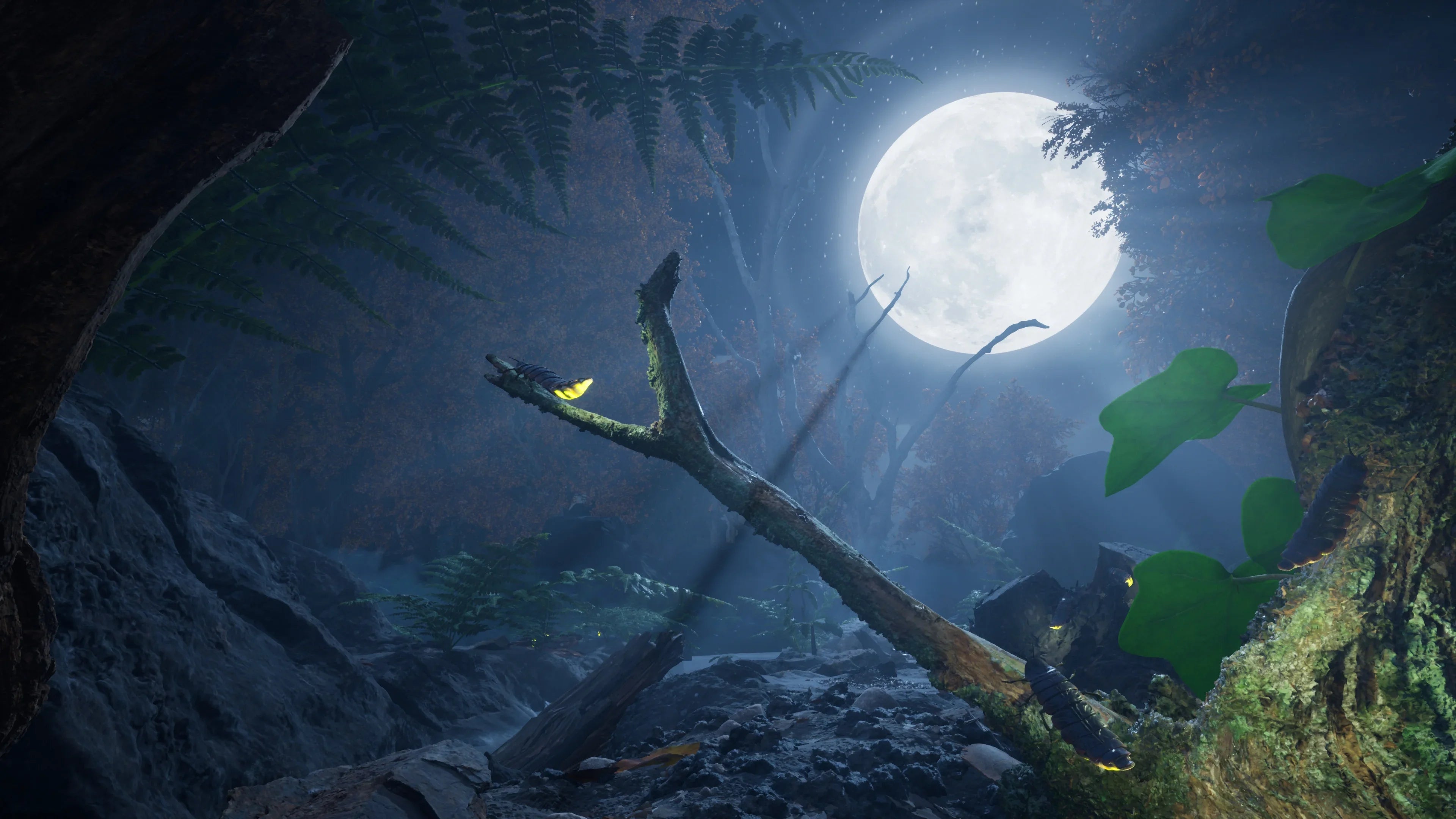 Empire of the Ants, Xbox Series X