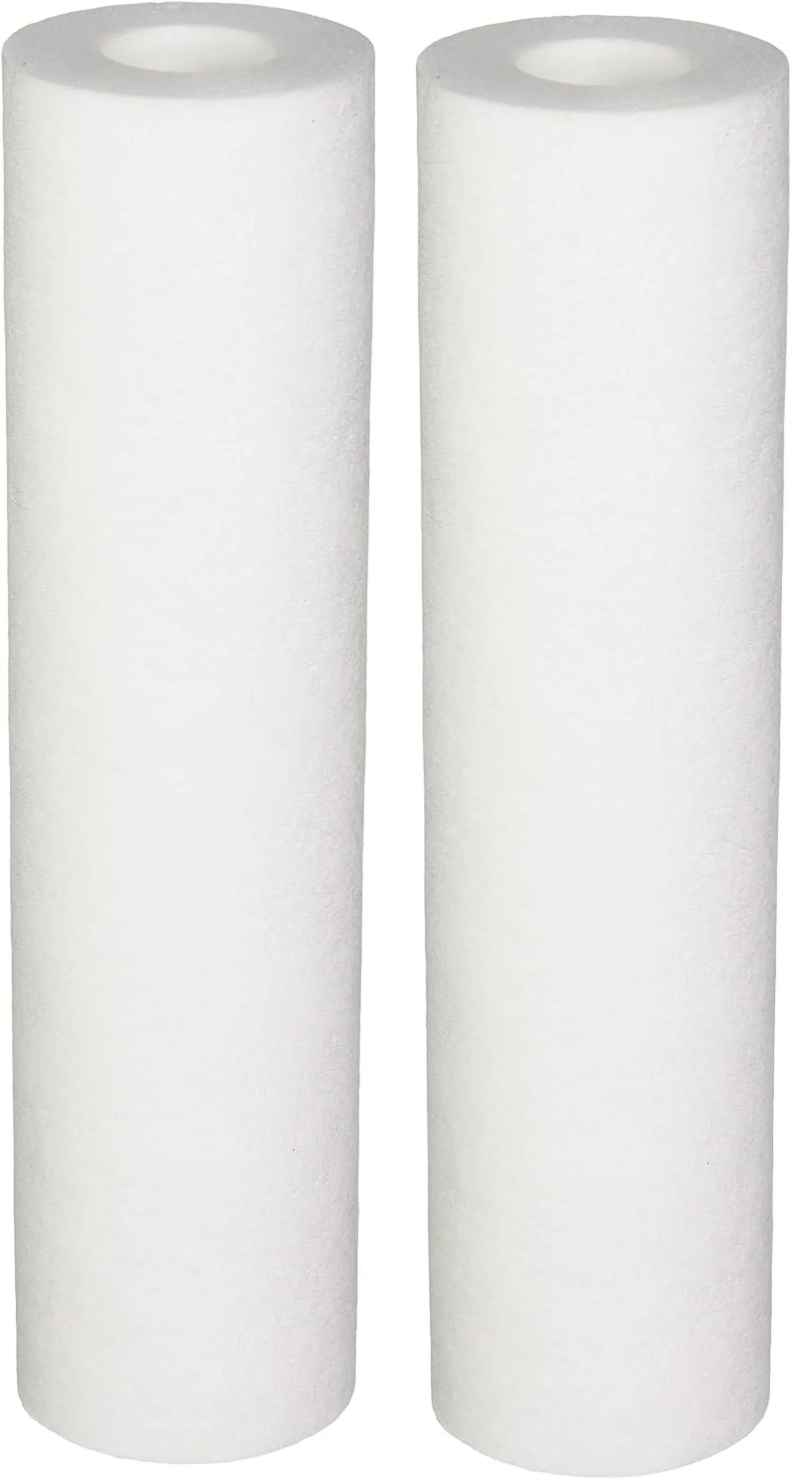 W25P Whole House Sediment Filter Cartridge (2-Pack)