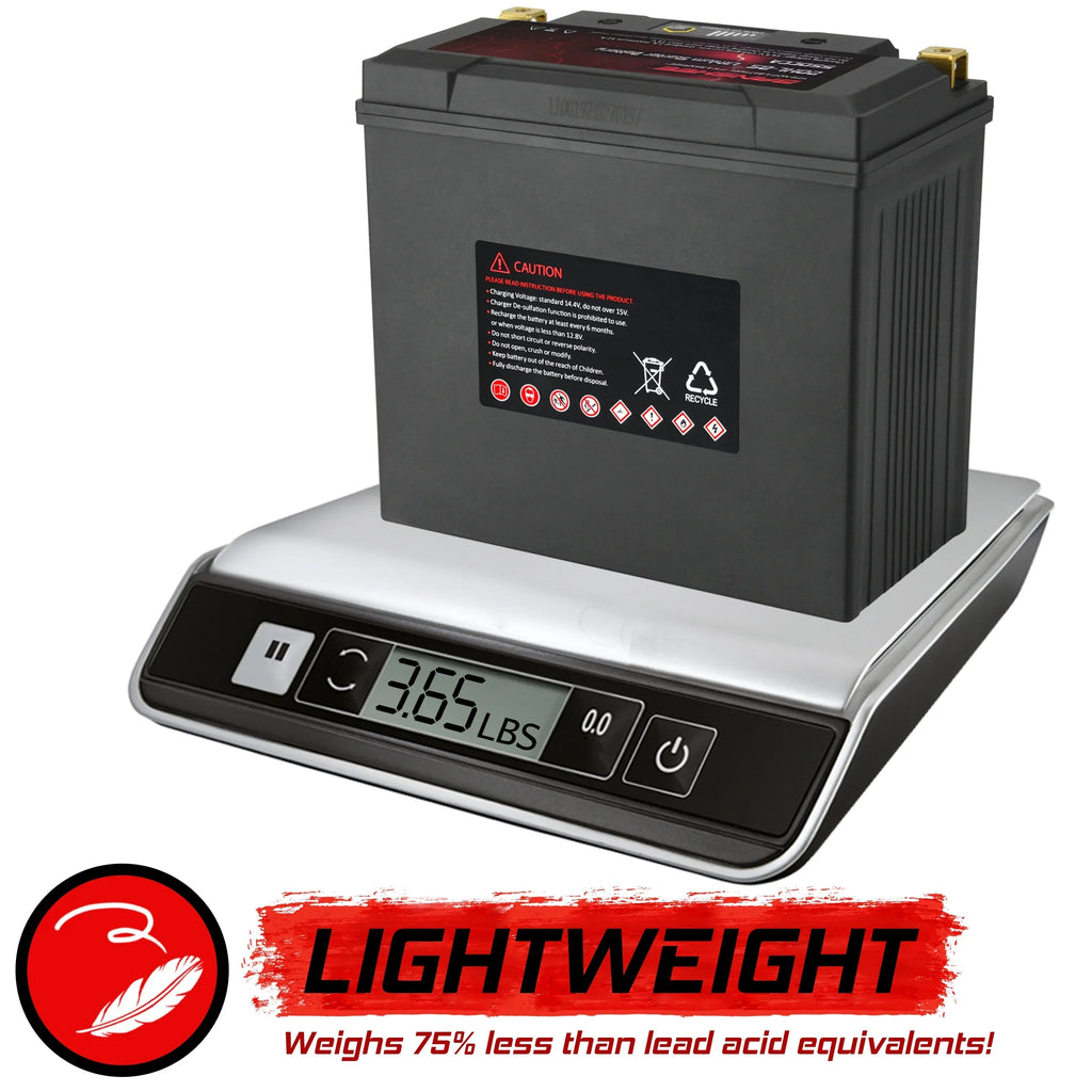 Banshee YTX20L-BS LiFePO4 Motorsports Battery Compatible with Sea-Doo RXT 230 2018 to 2018