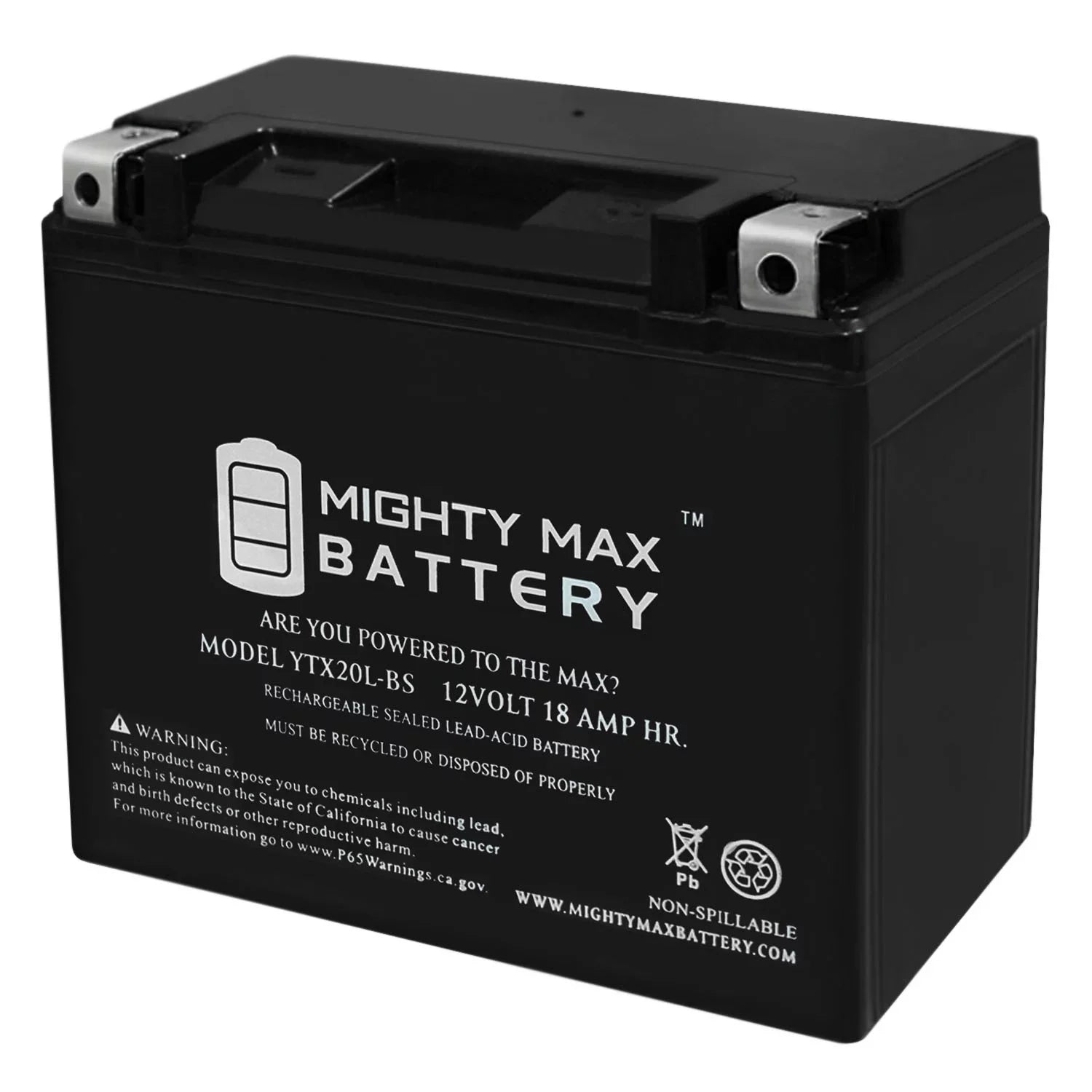 YTX20L-BS Battery for Yamaha 973 Vector 2009