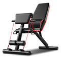 Adjustable Dumbbell Weight Bench Full Body Workout Foldable Incline Decline Exercise Workout Bench for Home Gym Load 353LBS