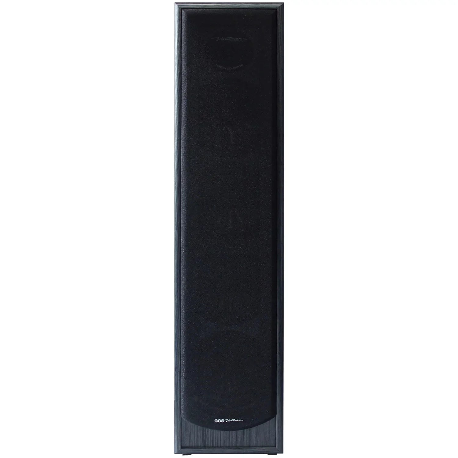 BIC America 2-Way 200-Watt Tower Speaker