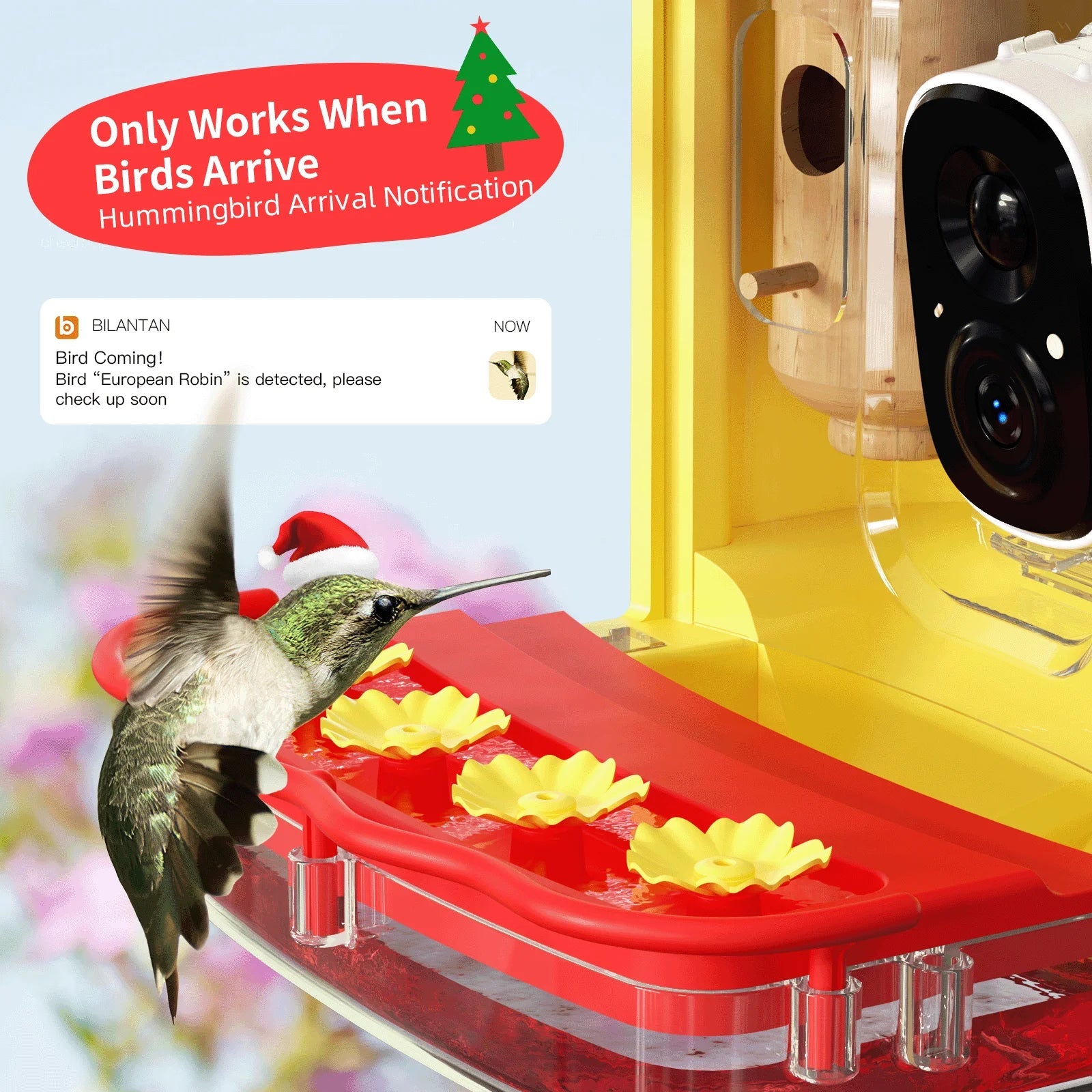 Hummingbird Feeder with Camera for Outdoor Hummingbird Smart Bird Feeder Camera Auto-Video Capture,Birdwatching Up-Close,AI Identify 350+ Species, 2 Wooden House, Attract More Hummingbird Unique Gift