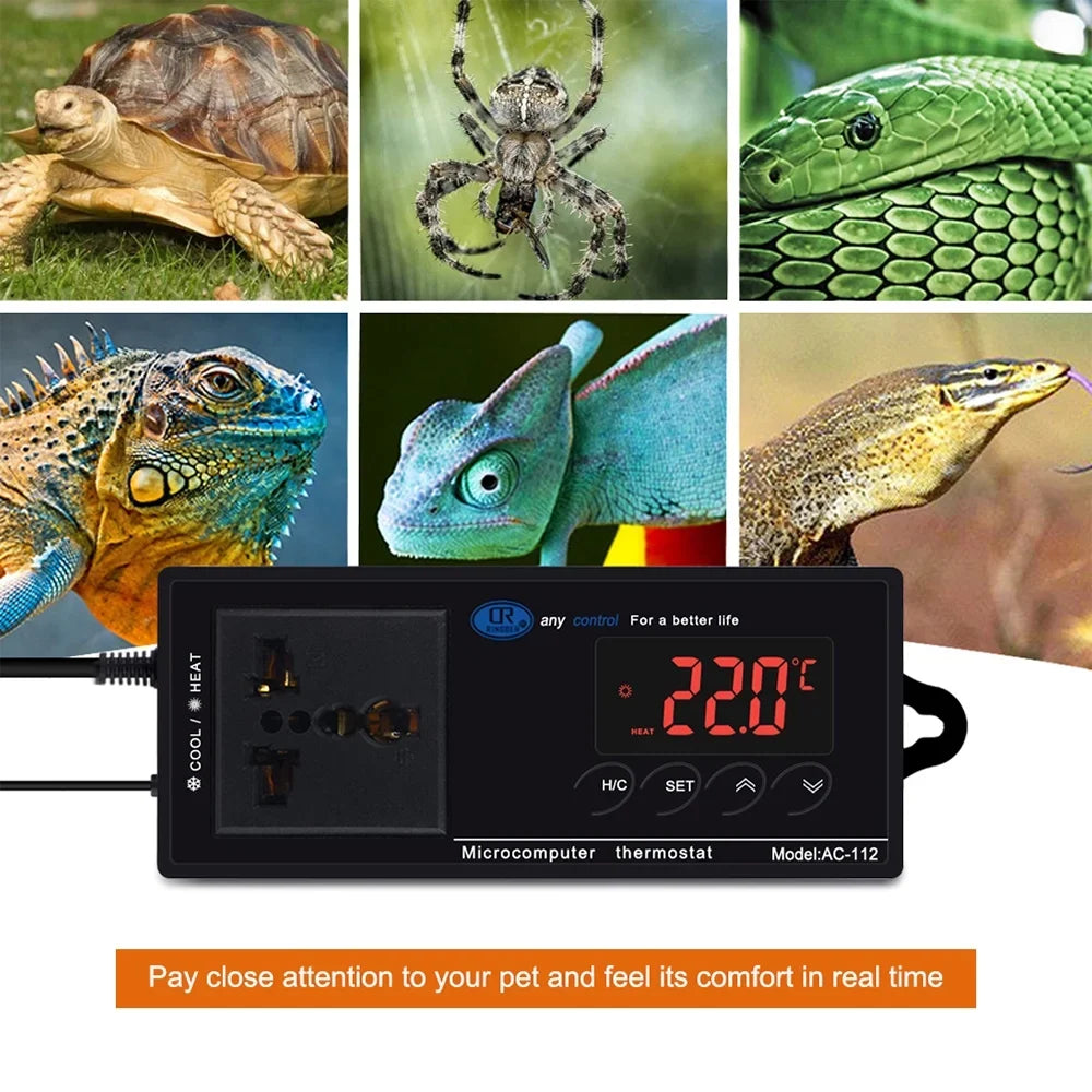 Carevas Digital Temperature Controller Thermostat Outlet Reptile Thermostat Controlled with Heating & Cooling Mode for Chest Freezer Home Brewing Green House Incubation Reptiles -40℃~110℃ Plug